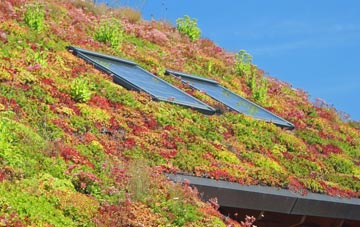 Bridgeton living roof systems
